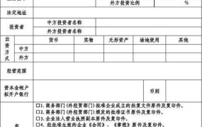 国家外汇管理局网上申报系统操作流程是什么？