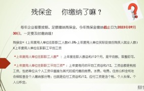 北京残疾人保障金政策是怎样的？如何申请？