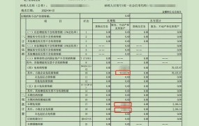 小规模纳税人所得税申报表如何填写？