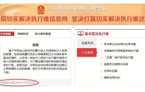 中国执行信息公开网官方网站如何查询被执行人信息？