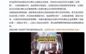 官员醉驾找人顶包将面临什么处罚？如何避免类似事件发生？