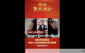 代表建议如何设立轻罪前科消灭制度？具体操作步骤是什么？