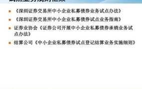 深圳证券交易所私募债试点业务指南解读与操作流程？