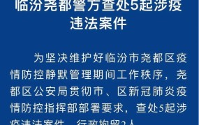 涉疫司机藏车内混入市场事件，8人如何被立案调查？