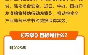 提高粮食生产力守护粮食安全线：政策与实践