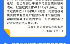 大连市地税局网上申报操作指南，有哪些注意事项？