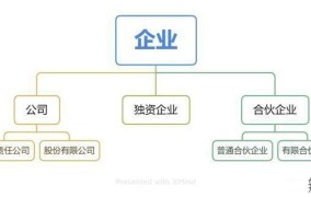 企业性质分类详解不同企业类型的特点与区别