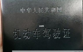 教练把车开到没人的地方做什么？有何寓意？