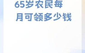 65岁农民养老金发放标准是多少？如何申请？