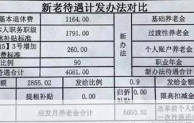 省级职业年金计划解读,如何保障退休生活？