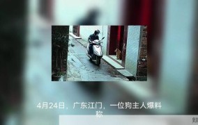 狗被喷不明液体后迅速死亡，原因是什么？如何防范？