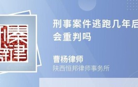 做逃跑被抓回来的人会继续做什么？法律如何处理？