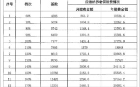 职工养老保险缴费标准是多少？如何查询？