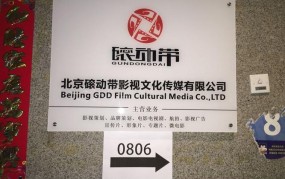 姐妹影视文化传媒有限公司业务介绍：提供哪些服务？