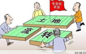 农村土地流转政策有哪些？农民如何从中受益？