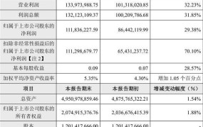 净资产增长率计算方法及分析技巧