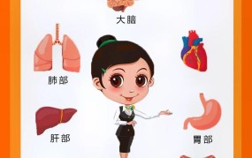 女人第一晚上要注意什么？健康指南