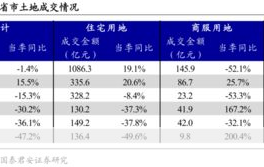 中国土地市场交易网操作指南，买卖土地必备