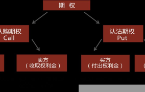 配股如何操作，投资者必看指南