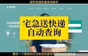 如何快速查看我的快递？有没有实用的查询技巧？