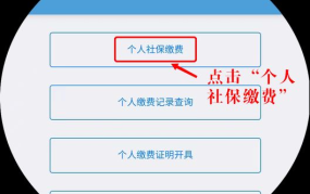 社保可以个人缴纳吗？如何操作和需要注意什么？