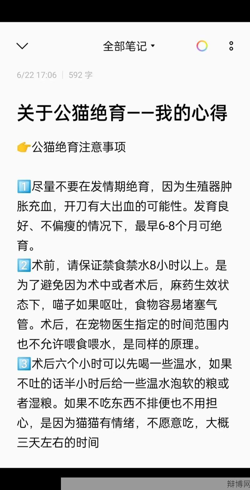 未婚妈妈有哪些权利和需要注意的事项？-辩博网