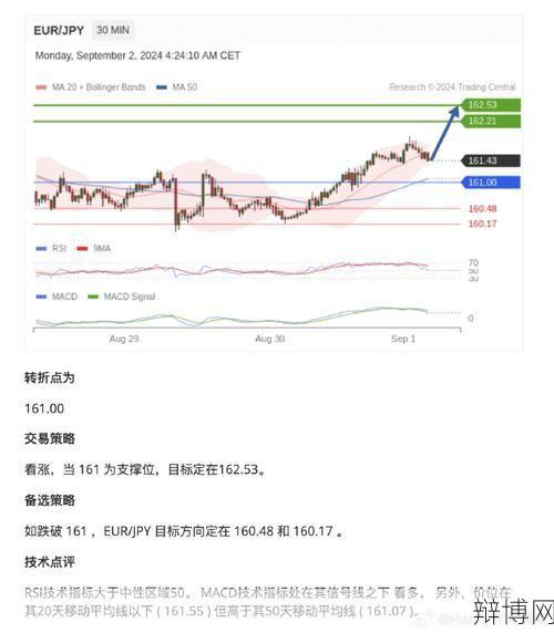 个人外汇投资如何操作？有哪些风险需要注意？-辩博网