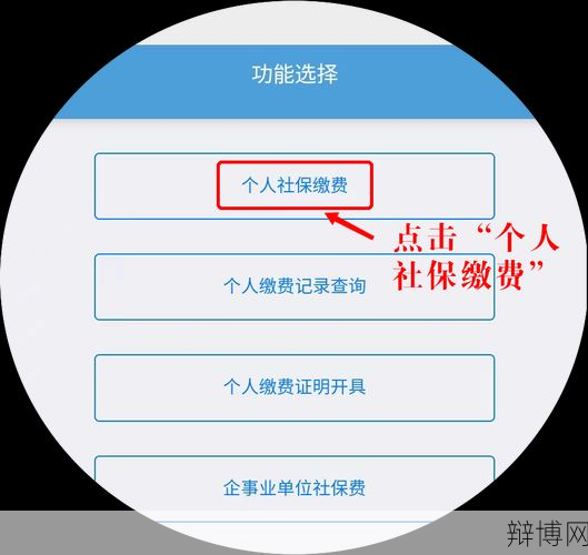 社保可以个人缴纳吗？如何操作和需要注意什么？-辩博网