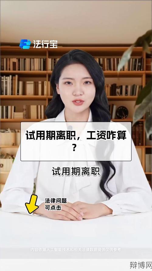 试用期辞职需要注意什么？有哪些法律规定？-辩博网