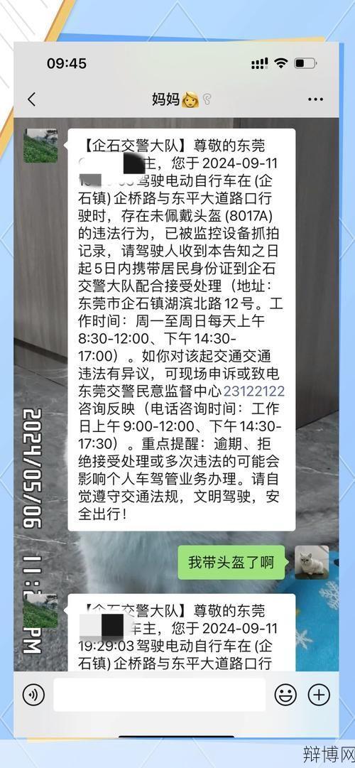 东莞交通违章查询网使用攻略，如何快速处理违章？-辩博网