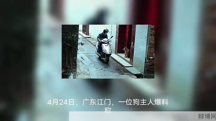 狗被喷不明液体后迅速死亡，原因是什么？如何防范？-辩博网