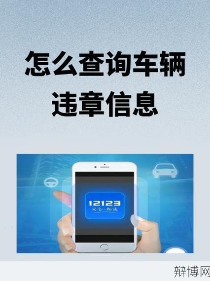 全车网广西车辆违章查询操作指南-辩博网
