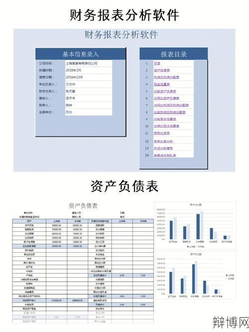 会计软件合法性分析,哪些软件可用？-辩博网