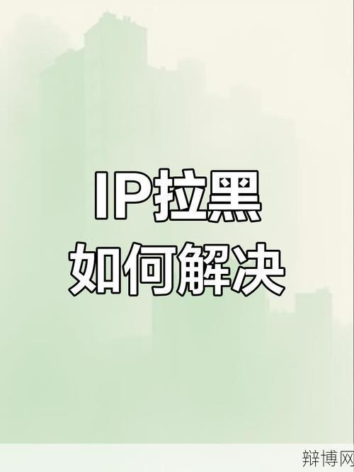 IP被列入黑名单，如何解除限制？-辩博网