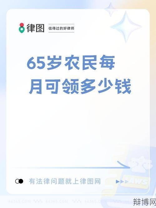 65岁农民养老金发放标准是多少？如何申请？-辩博网