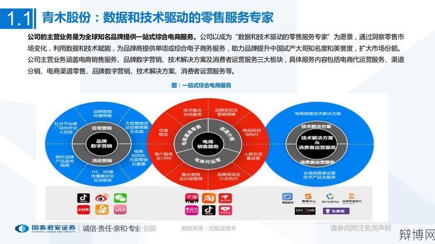 股票开户流程国泰君安，一站式办理指南-辩博网