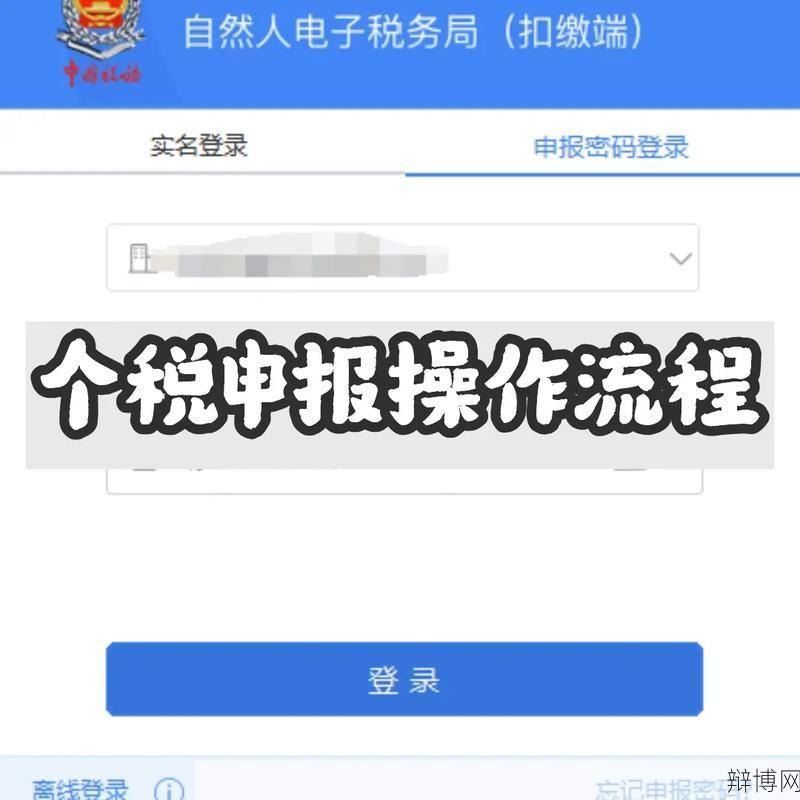 个人所得税网页版操作流程？如何在线申报？-辩博网