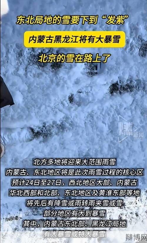 东北地区大暴雪如何应对？哪些地区受到影响？-辩博网