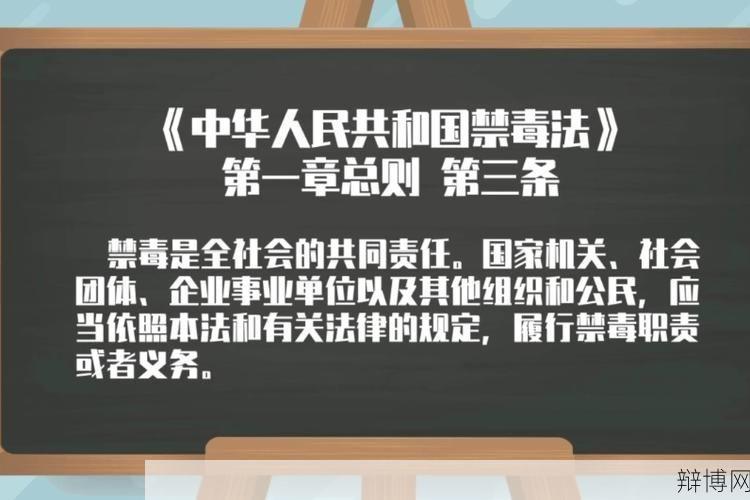 中华人民共和国禁毒法第13条具体内容是什么？如何实施？-辩博网