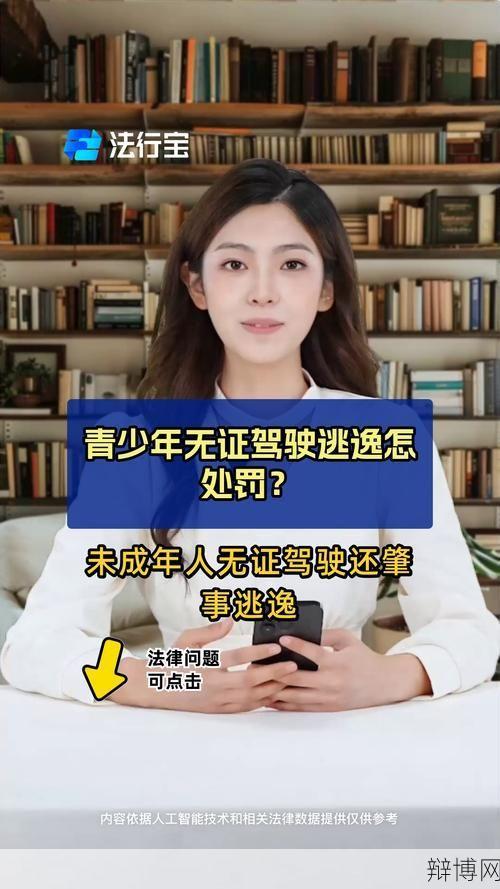 未成年人无人区驾车合法吗？无人区交通规则是什么？-辩博网