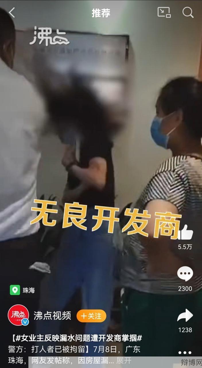 女子新房漏水遭掌掴，开发商如何回应？-辩博网