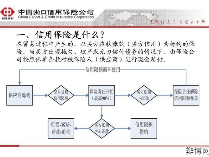 出口信用保险政策解析与申请流程？-辩博网