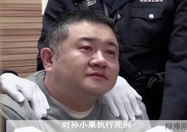 孙小果刑事裁决书内容曝光，案件背后有哪些隐情？-辩博网