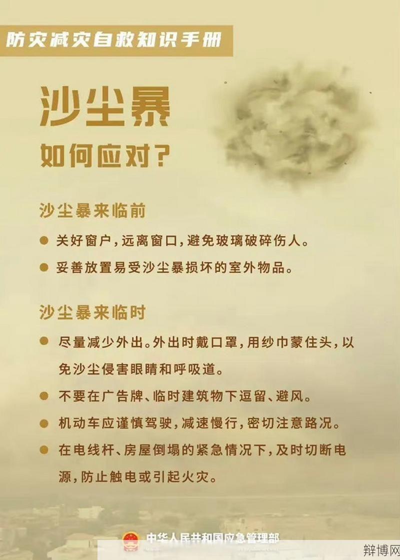 沙尘暴的危害有哪些？如何预防和应对？-辩博网