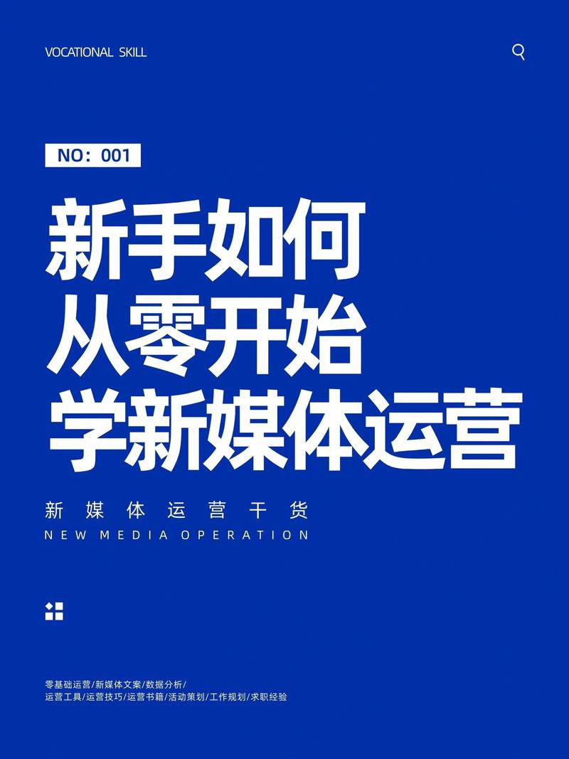 短视频运营从0到1玩转抖音和快手pdf